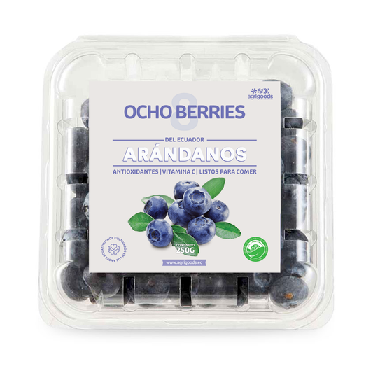 Fresh Blueberries 250g